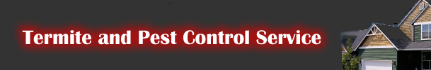 Termite Control & Pest Control Brisbane Termite Control & Pest Control Brisbane