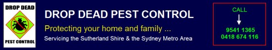 Pest Exterminators Sydney Pest Exterminators Sydney