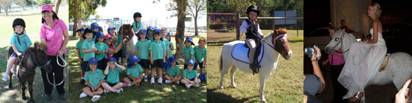Pony Party & Pony Rides Gold Coast Pony Party & Pony Rides Gold Coast